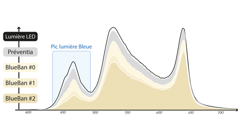 Graphique