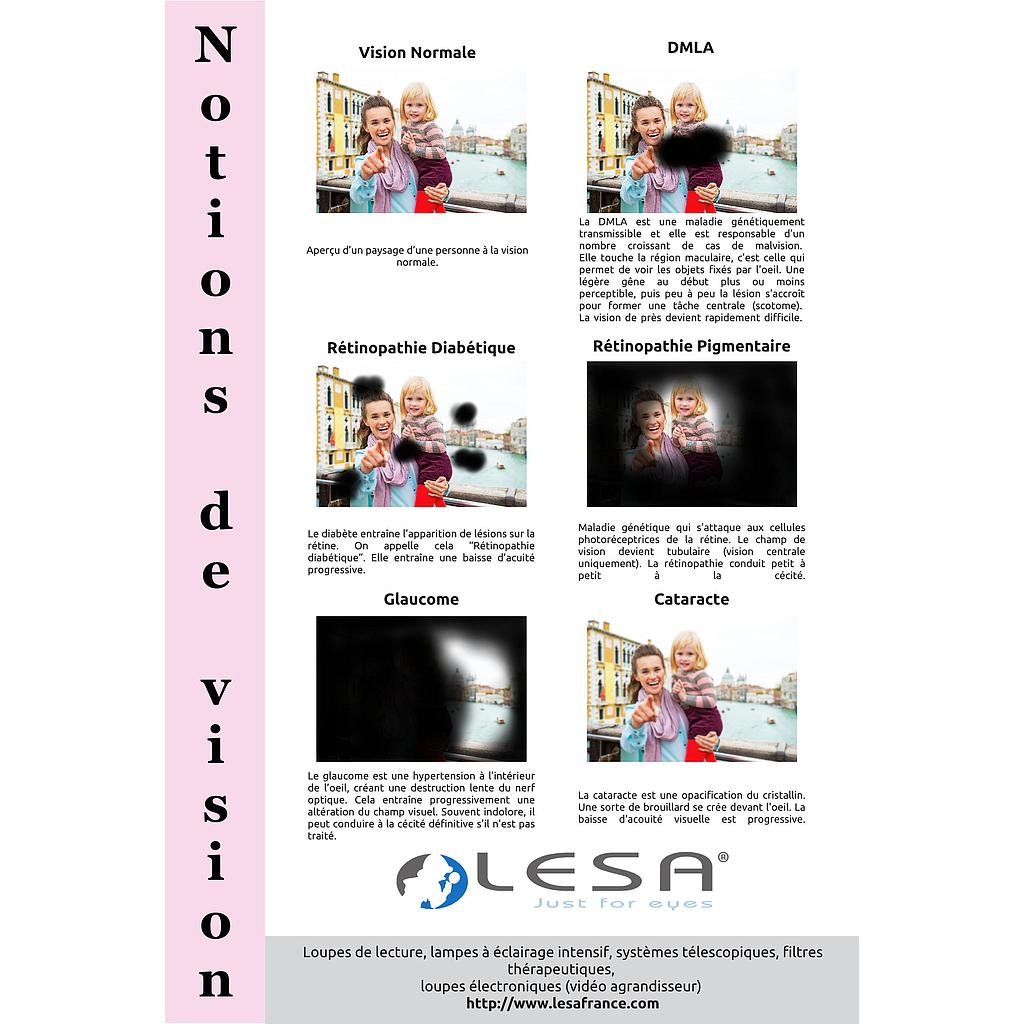 Poster "Notions de vision" 610x900mm