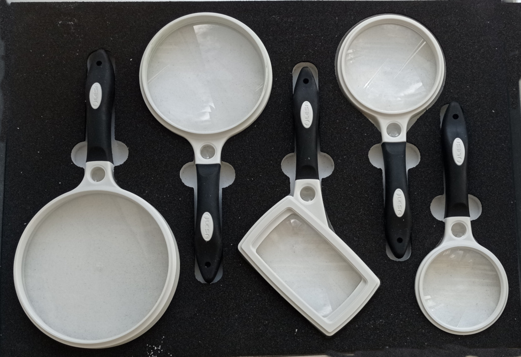 MagDisplay Bandeja Ergoloupe