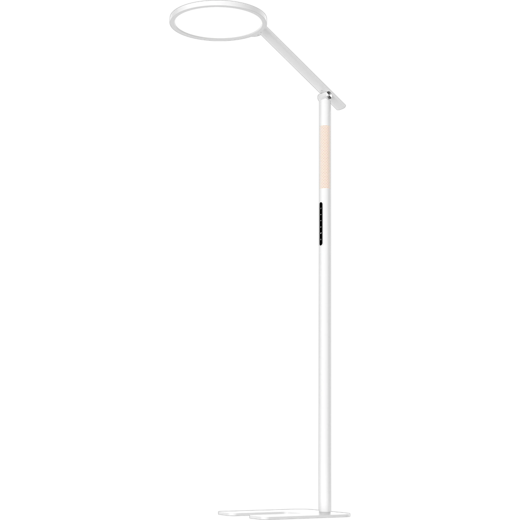 [LI82.250] Claudia