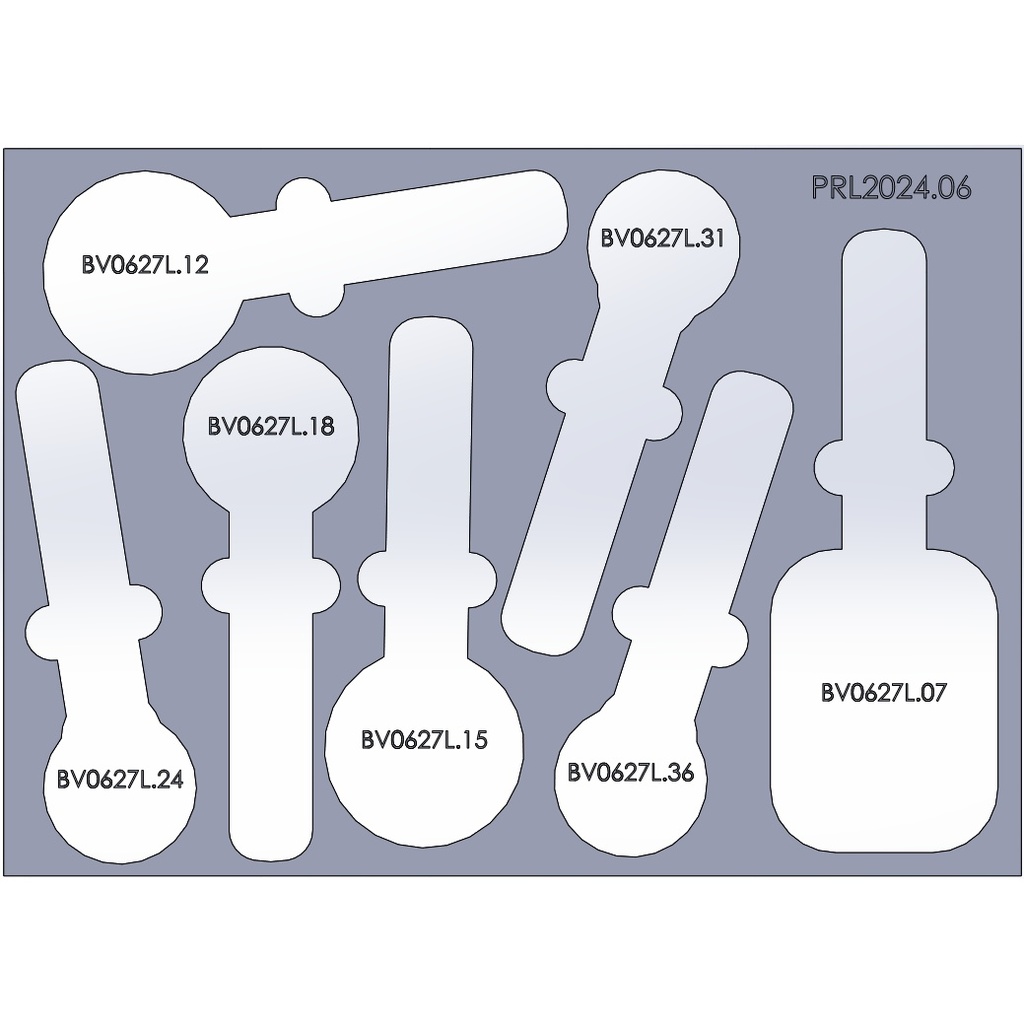[PRL2024.06] MagDisplay Plateau COIL AutoRaylite