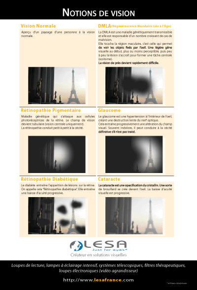 Poster "Notions de vision" 610x900mm