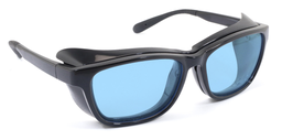 [FP04BV] Berry Low Vision Glasses with Filter